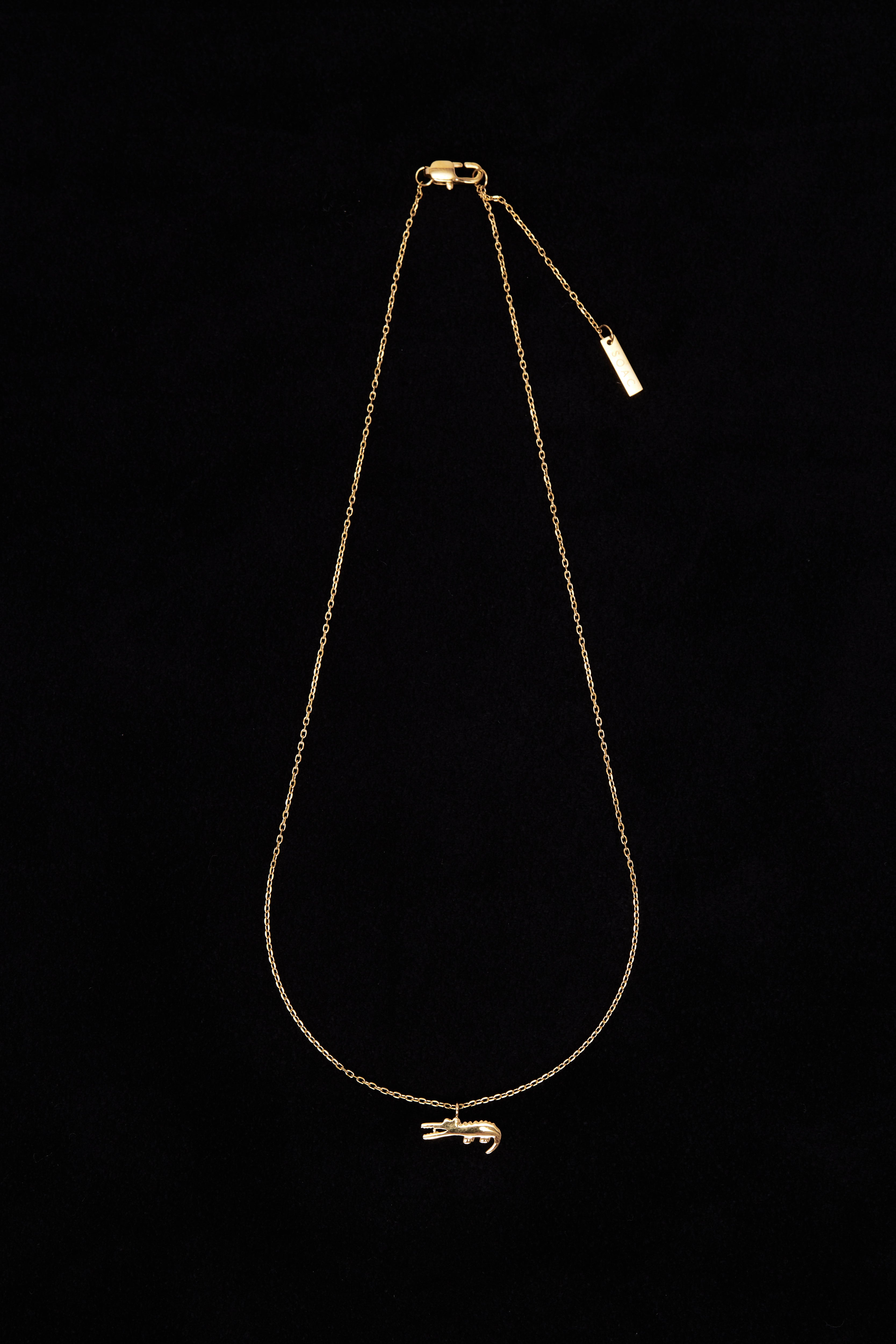 Crocodile Necklace