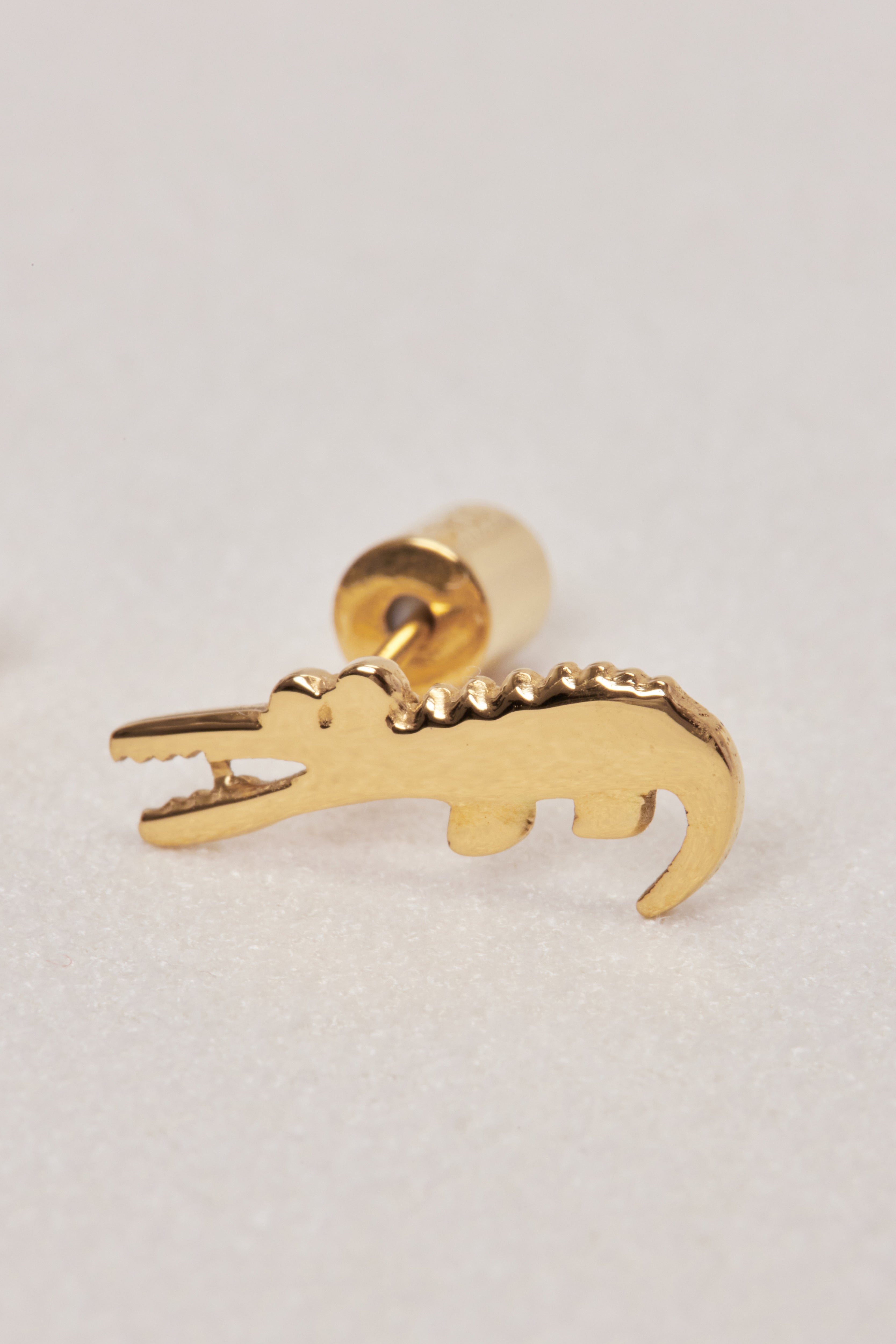 Crocodile Pierce