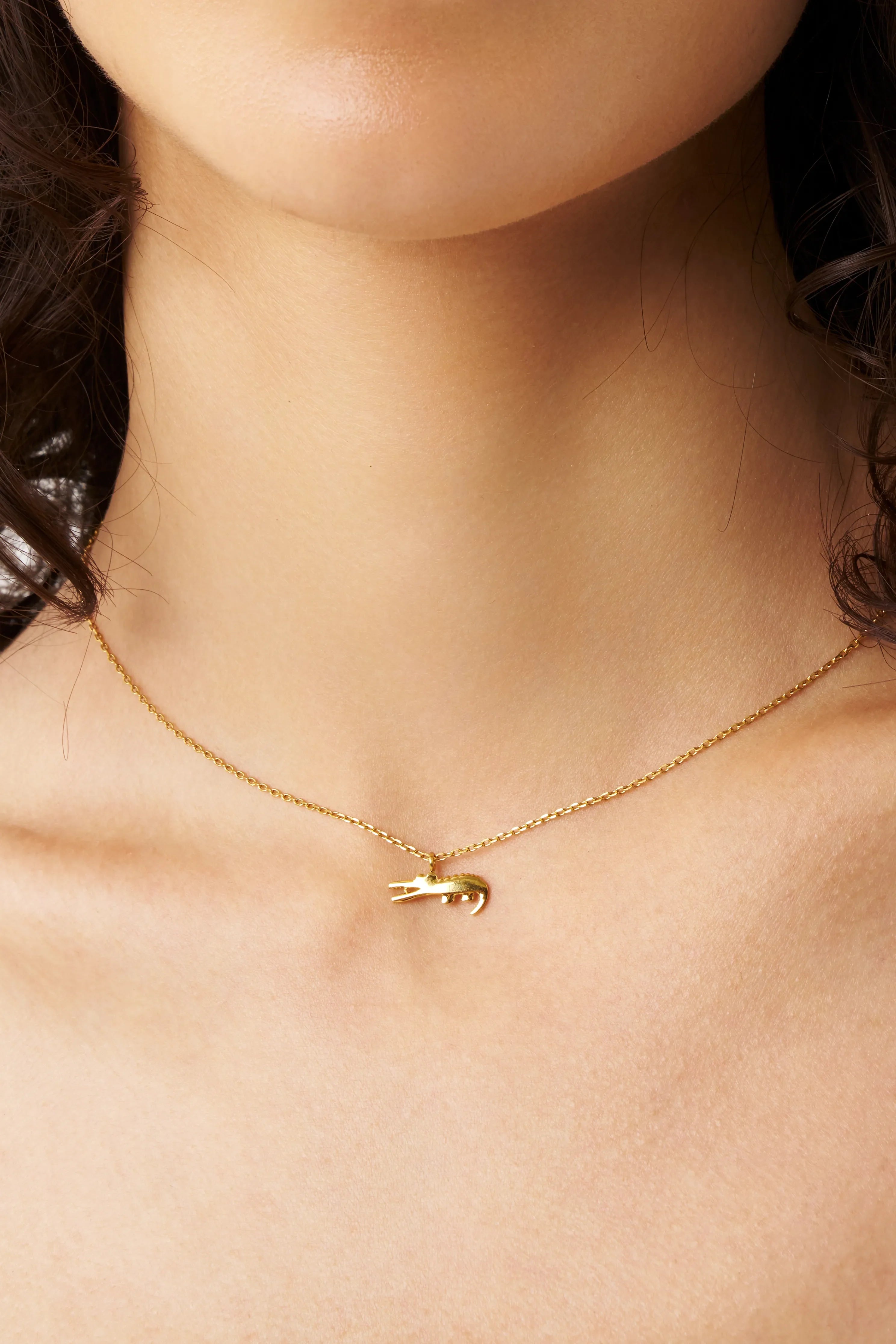 Crocodile Necklace