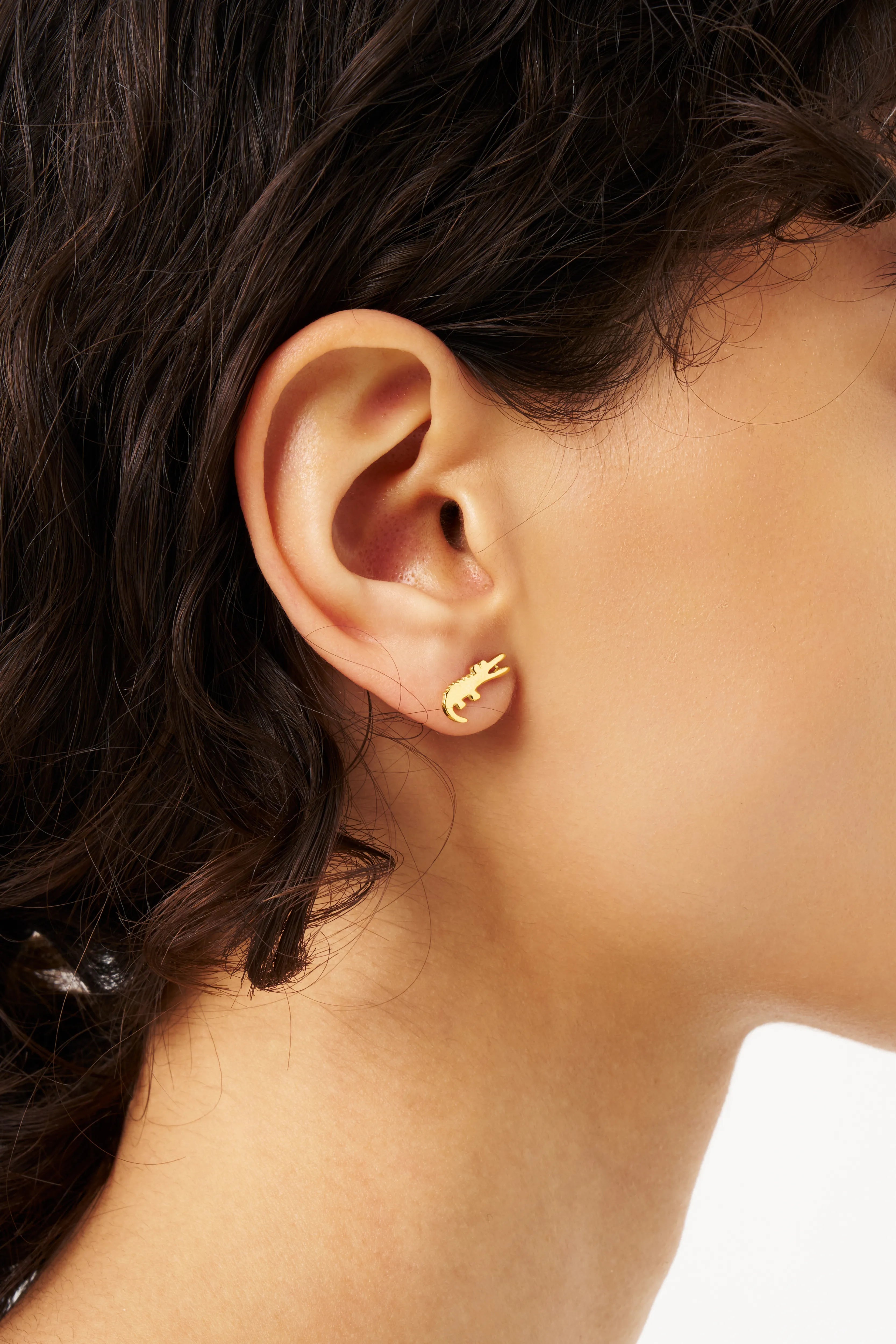 Crocodile Pierce