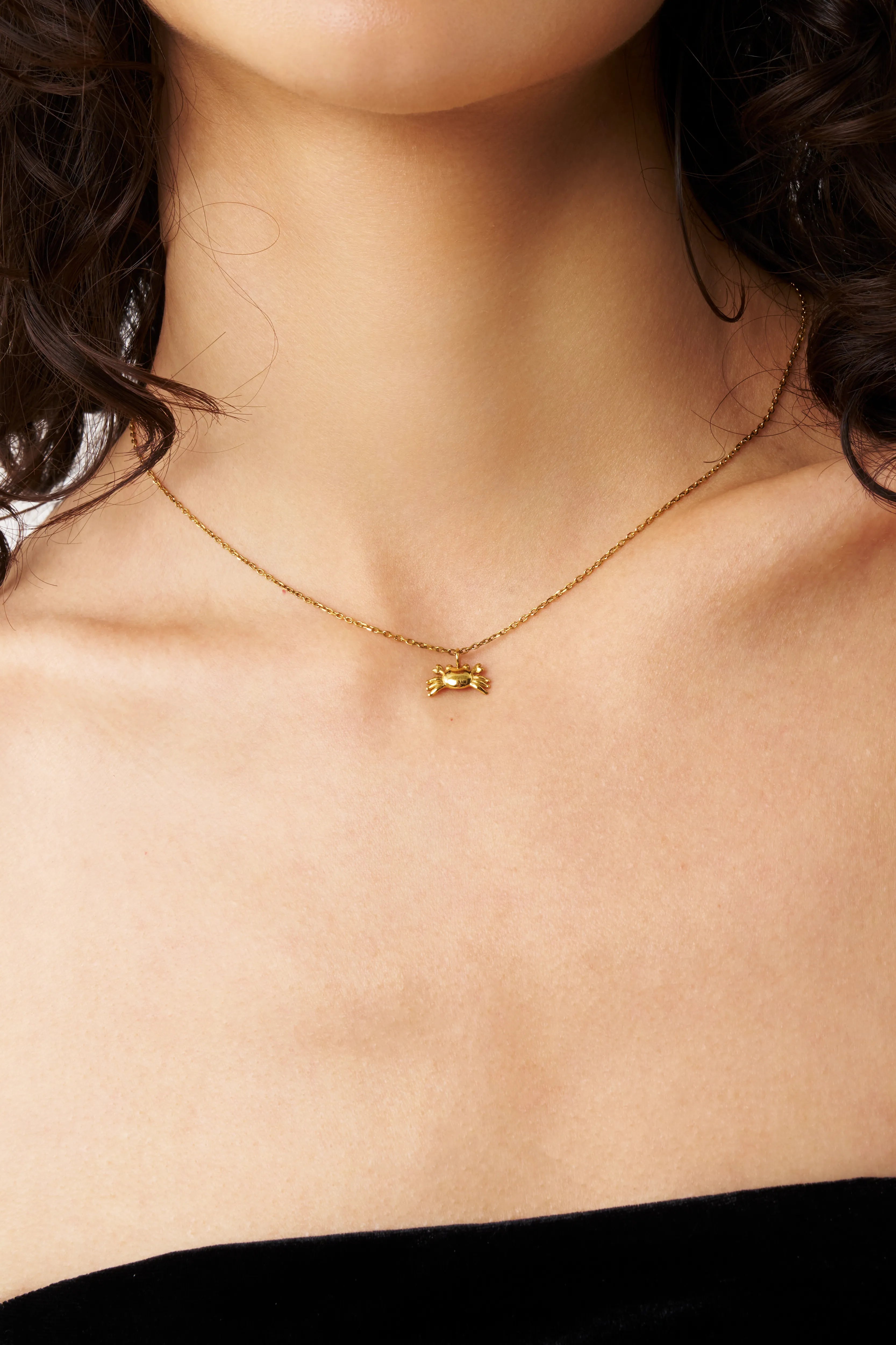 Crab Necklace
