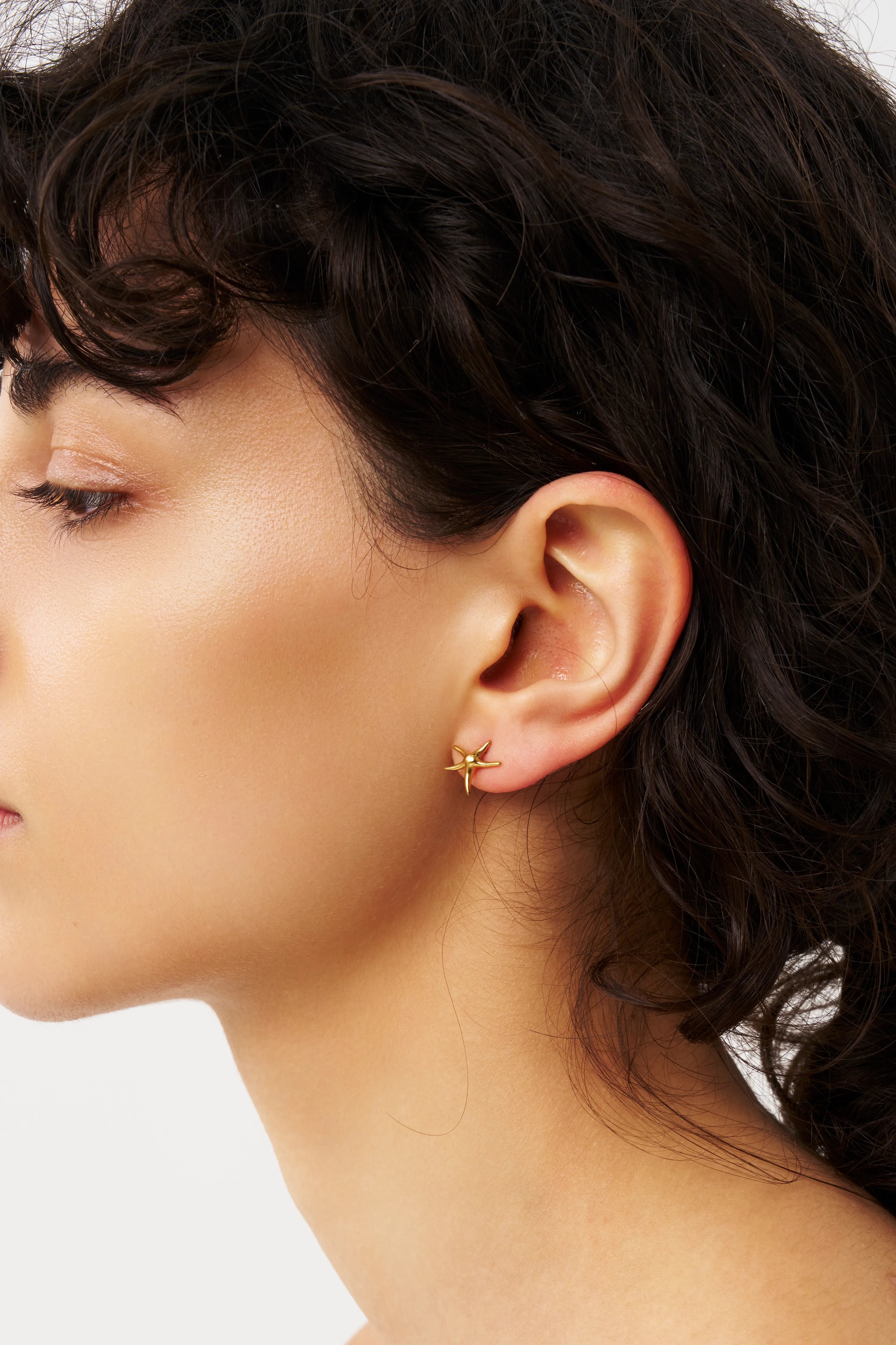Star Fish Pierce