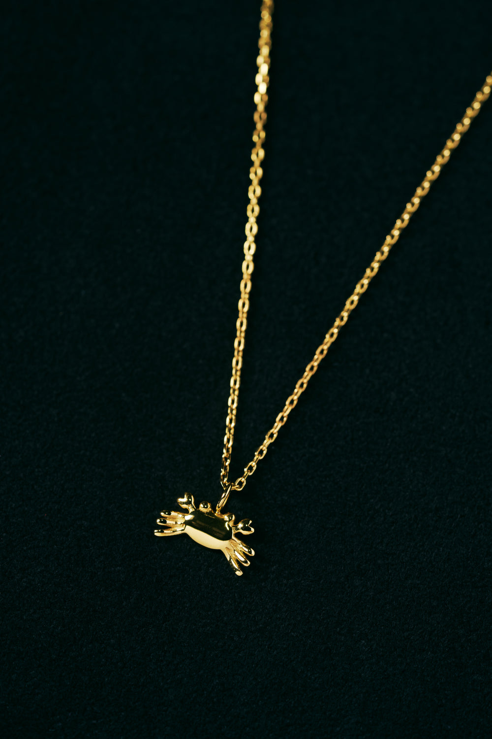Crab Necklace
