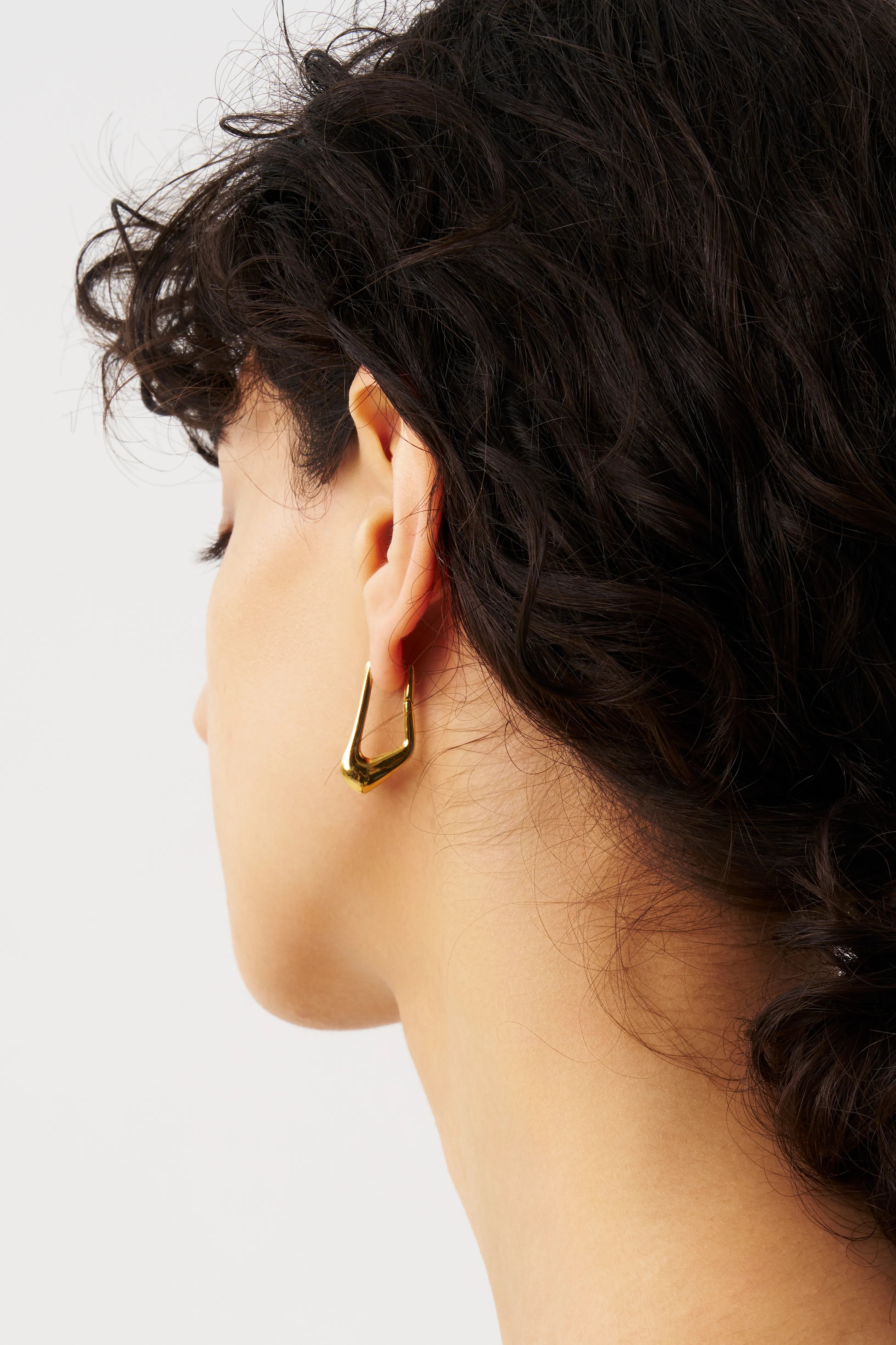 Pond Plate Pierce