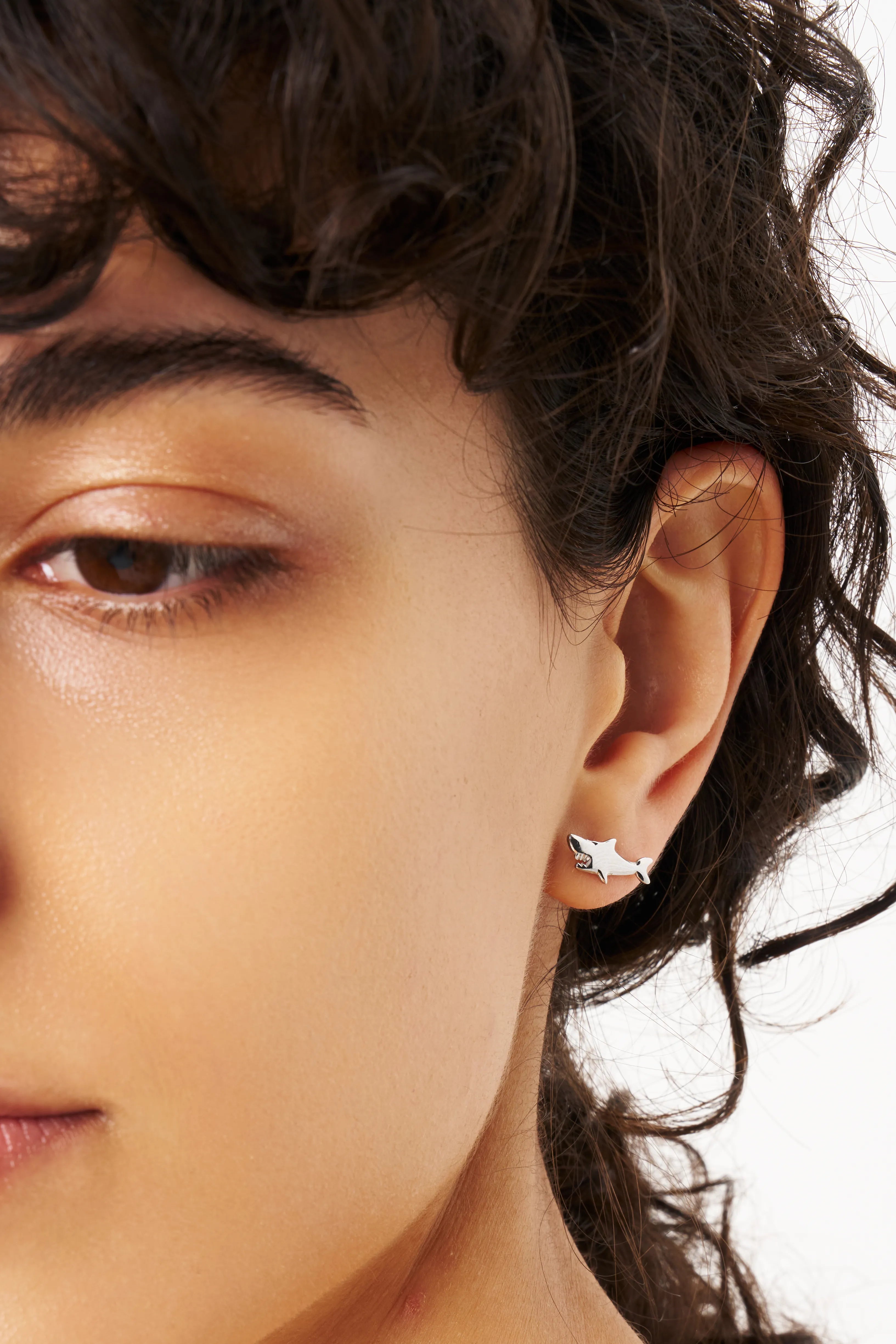 Shark Pierce