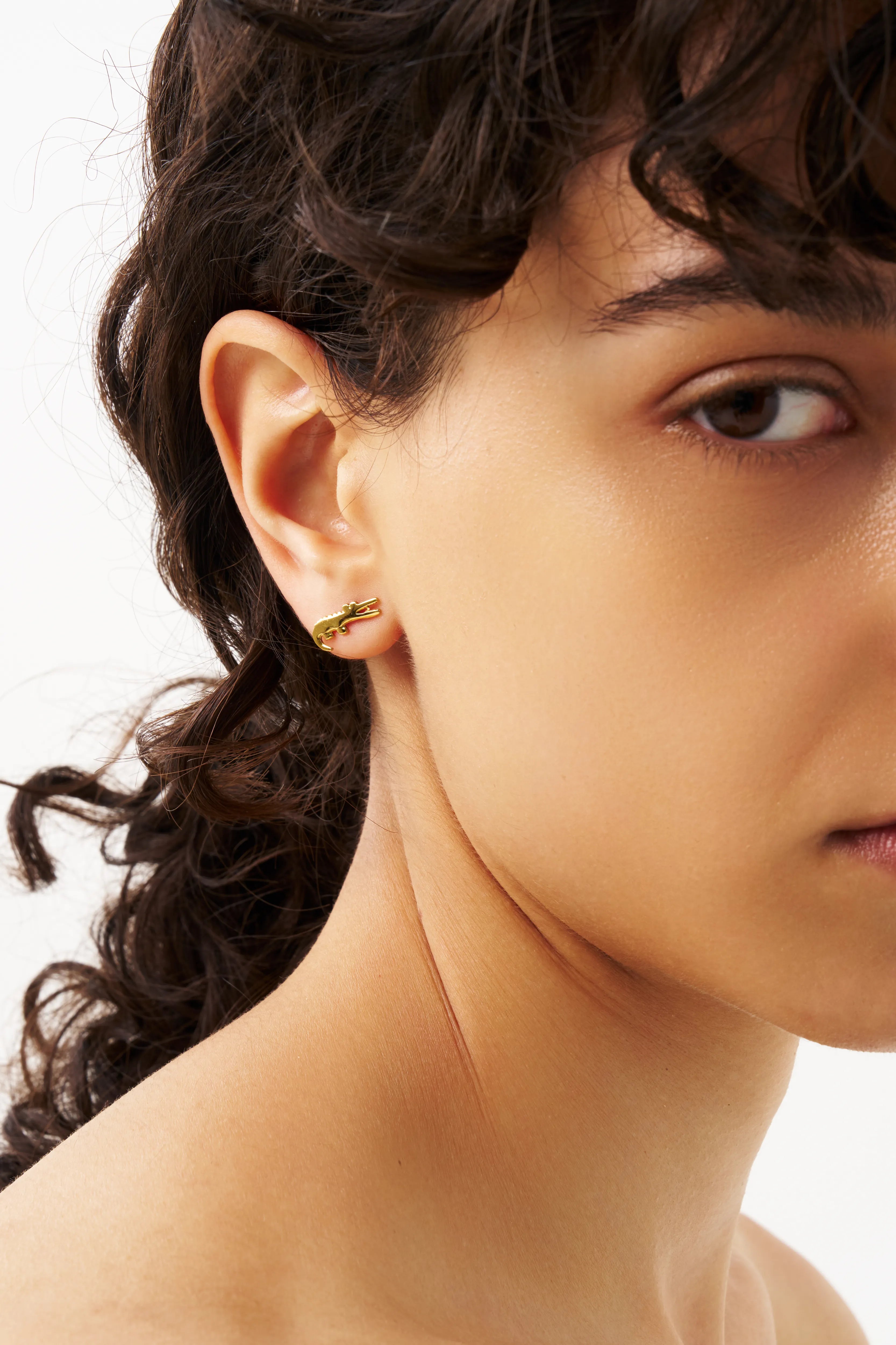 Crocodile Pierce