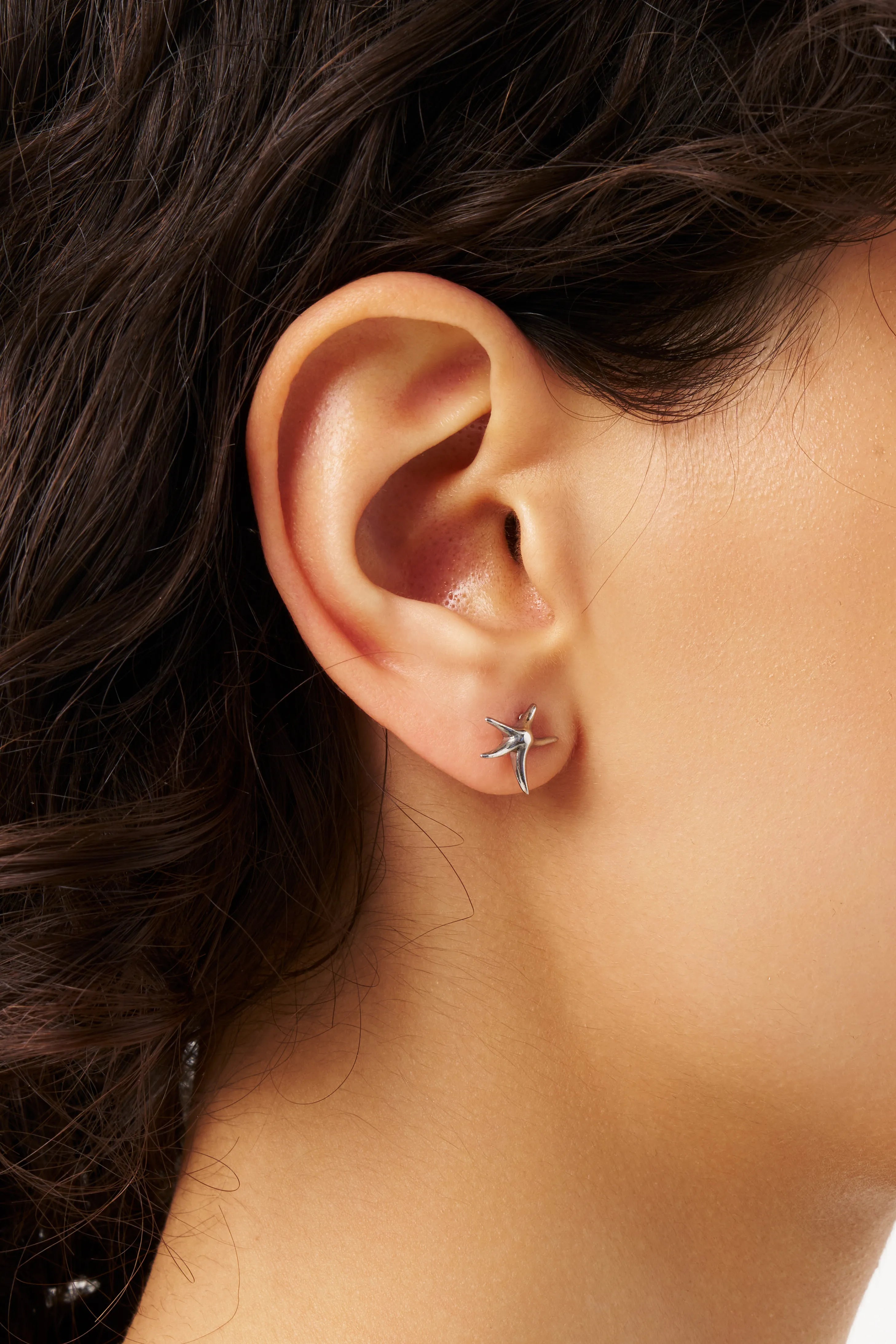 Star Fish Pierce